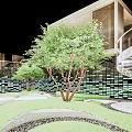 Modern Courtyard Garden With Green Plants Lawn Stone Path And Tiled Brick Wall