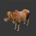 3D Rendered Bull Model With Orange And Black Fur Standing On Gray Background