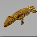 Yellow Pangolin with Full Body Scales Displayed on Dark Background with Reflection 3d model