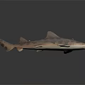Spotted Shark 3D Rendered Model With Detailed Body Patterns And Smooth Texture 3d model