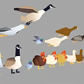 Collection Of Various Birds Including Ducks Chickens Geese And Poultry In Different Poses Colors