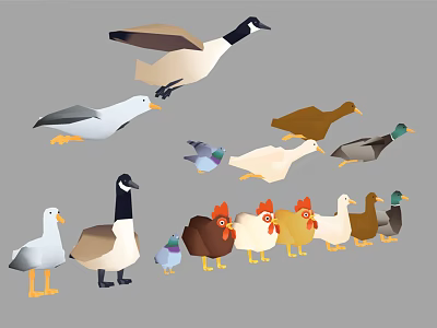 Collection Of Various Birds Including Ducks Chickens Geese And Poultry In Different Poses Colors 3d model