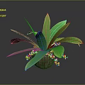 Lush Green Indoor Plant with Long Leaves in Wooden Pot and Small Decorative Foliage