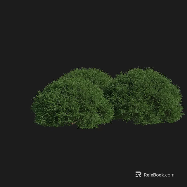Dense Green Rounded Shrubs Boasting Lush Healthy Foliage On Black Backdrop 3d model 