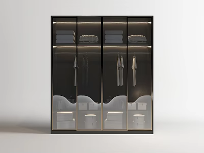 Modern Wardrobe With Glass Doors Hanging Clothes Folded Clothes and Interior Lighting 3d model