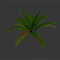 3D Rendered Plant with Broad Green Leaves and Yellow Tips on Gray Background