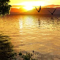 Dusk Lake Surface Lake Water Sunset Water Bird Egret Artistic Conception Lake Surface Dusk 3d model