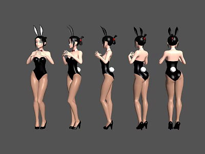 Woman In Bunny Costume With Black Bodysuit Rabbit Ears And High Heels Multiple Angles View 3d model