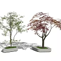 Modern Tree Landscape Tree 3d model