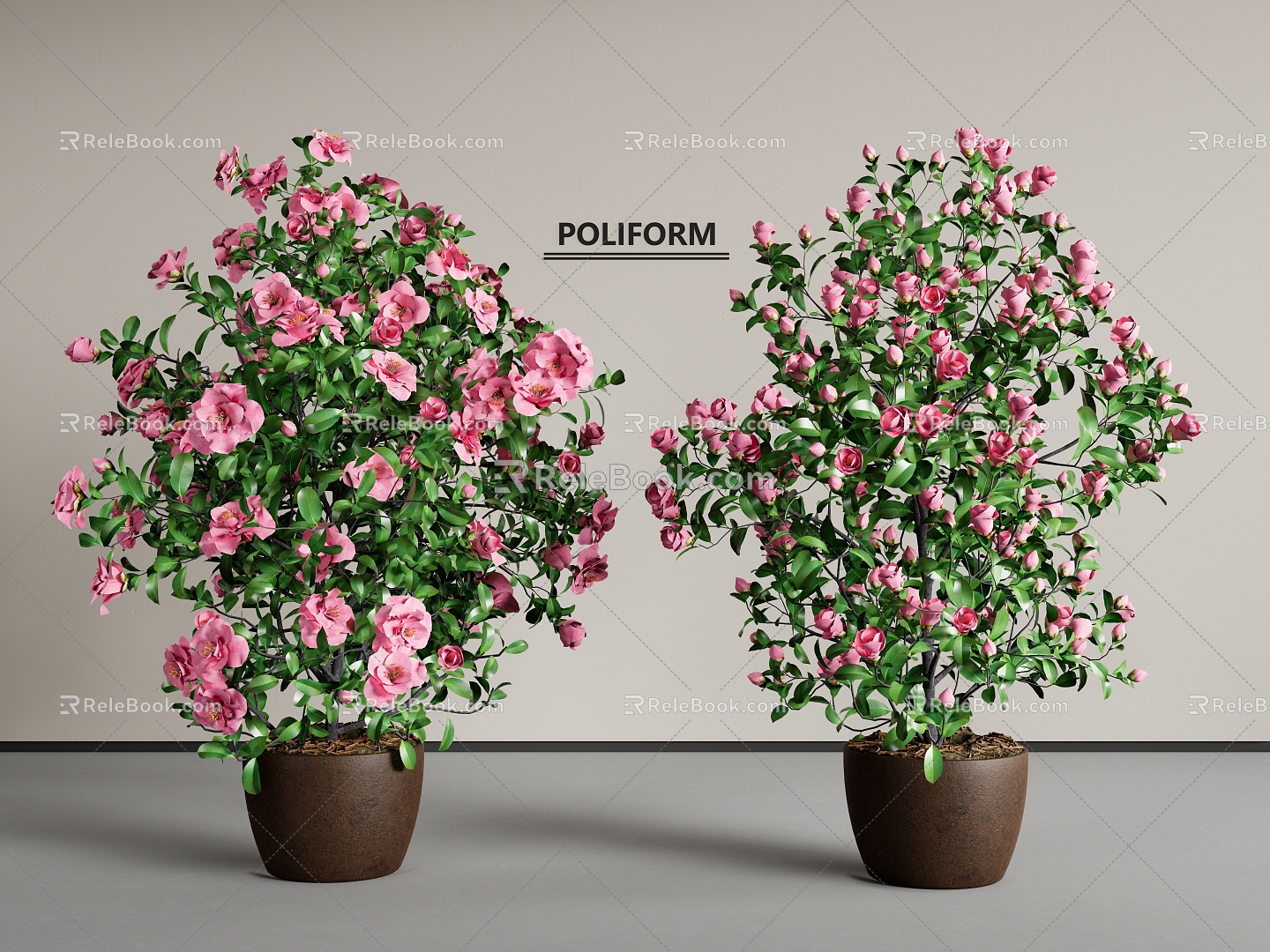 Modern potted plants potted plants pot peony flower peony 3d model