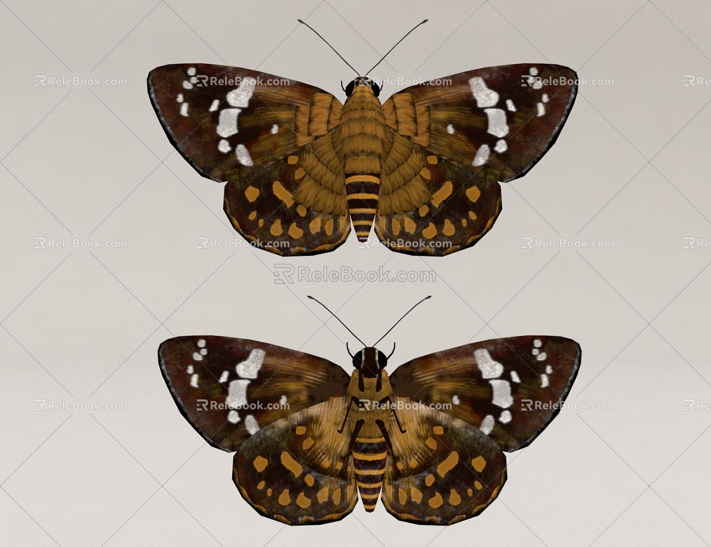 butterfly insect 3d model