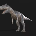 Realistic 3D T Rex Dinosaur Model With Open Mouth Sharp Teeth On Black Background 3d model