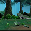 Tall Trees in Lush Forest with Sunlight Through Leaves Mossy Ground Path Rocks and Shrubs