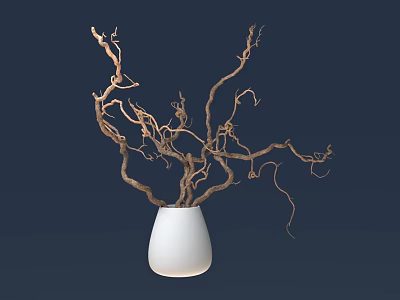 Elegant Bonsai Potted Plant in White Vase with Curved Branches against Dark Blue Background 3d model