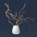 Elegant Bonsai Potted Plant in White Vase with Curved Branches against Dark Blue Background