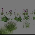 Decorative Purple Flowers and Various Green Grasses on Black Background