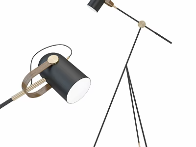 Modern Black Floor Lamp With Gold Accents And Tripod Stand Design 3d model