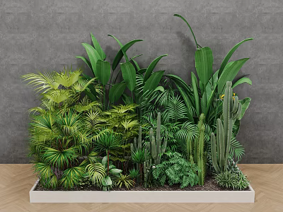 Indoor Landscape With White Rectangular Planter And Various Green Tropical Plants Ferns Cacti 3d model