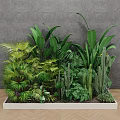 Indoor Landscape With White Rectangular Planter And Various Green Tropical Plants Ferns Cacti