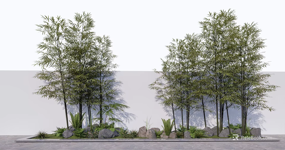 Bamboo Plants In Outdoor Landscape With Stones And Green Foliage Near White Wall 3d model 