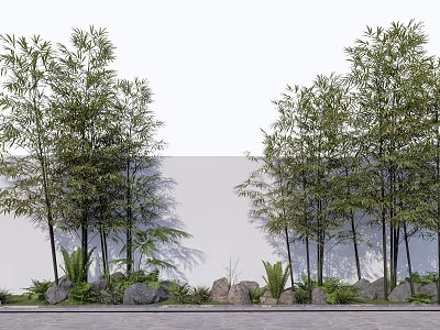 Bamboo Plants In Outdoor Landscape With Stones And Green Foliage Near White Wall 3d model
