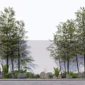 Bamboo Plants In Outdoor Landscape With Stones And Green Foliage Near White Wall