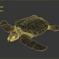 Turtle Cartoon Turtle Snapping Turtle Chickbill Turtle Reptile Cold Blooded Animal Reptile Class 3d model
