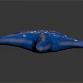 Blue Starfish With White Spots On Textured Surface Against Dark Background