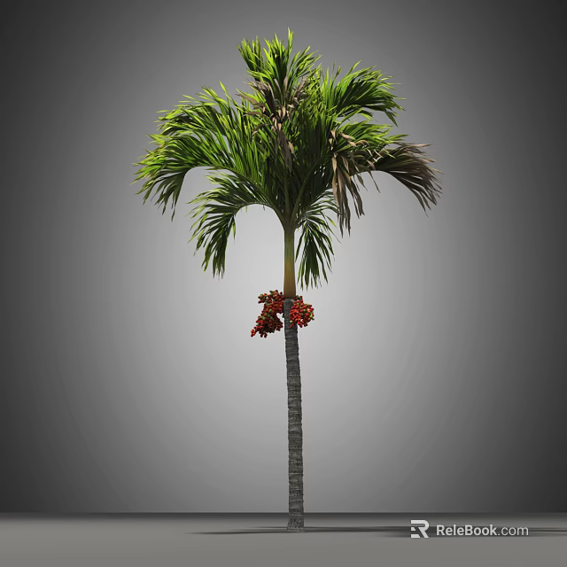 Tall Palm Tree with Lush Green Fronds on Straight Trunk Bearing Red Flowers 3d model 