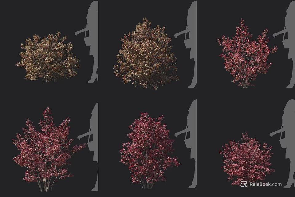 Colorful Landscape Shrubs With Various Foliage Colors And Shapes For Garden Design 3d model 