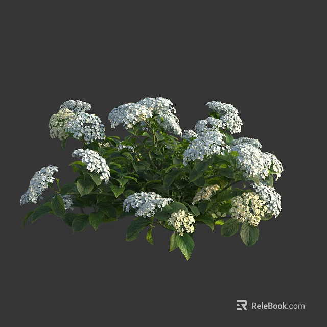 Vibrant White Garden Flowers With Lush Green Leaves And Fresh Blooms 3d model 