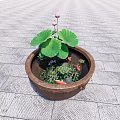 Garden Ornament With Terracotta Pot Lotus Leaves Flowers Goldfish Aquatic Plants On Gray Stone Tiles