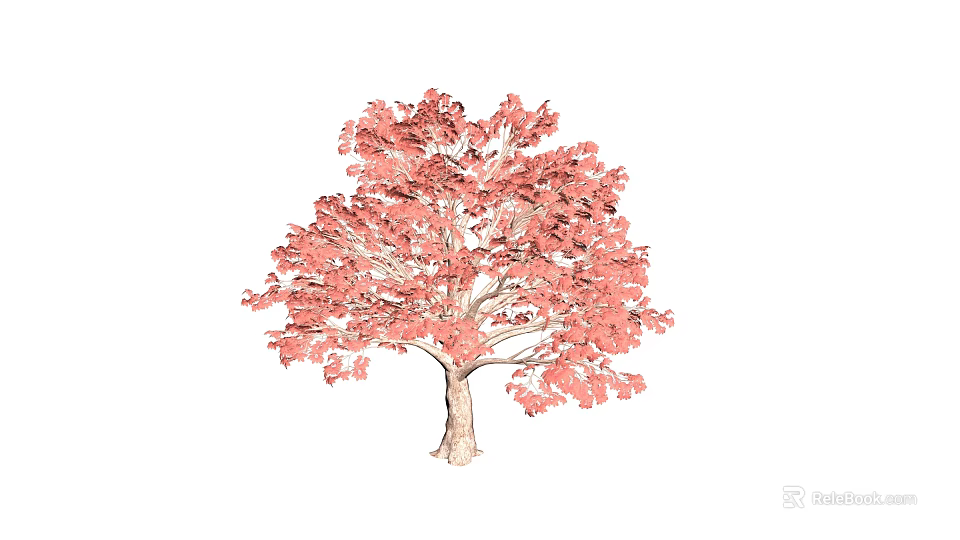 Red Leaf Arbor with Light Brown Trunk Vibrant Foliage and 3D Rendering 3d model