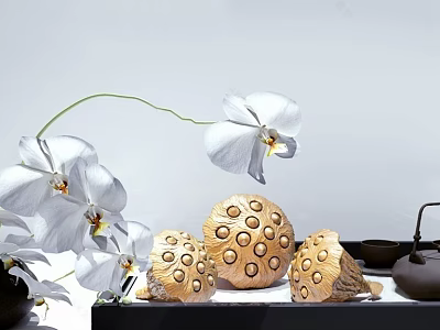 Elegant Decorative Ornament Set With White Orchids Wooden Lotus Pods Teapot And Small Cups 3d model