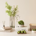 Minimalist Modern Decorative Ornament Set With Glass Vase Plants Books Storage Box And Green Fruits