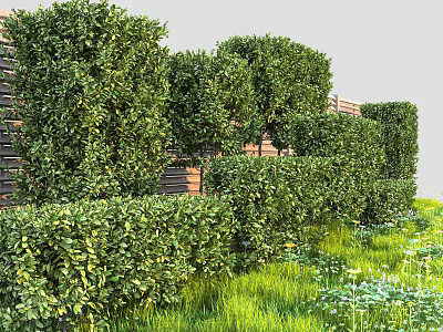 Neatly Trimmed Green Shrubs In Various Shapes With Grass And Fence Background 3d model