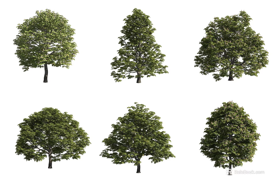Various Shaped Arbor Trees With Lush Green Foliage For Landscape Design 3d model