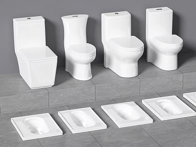 Various White Toilets Including Sitting And Squatting Designs On Gray Tiles 3d model