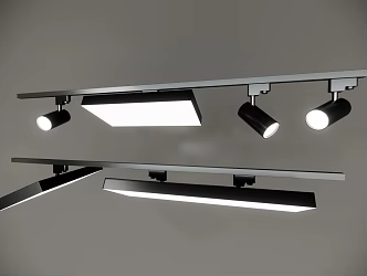Track Light Spotlight Downlight 3d model
