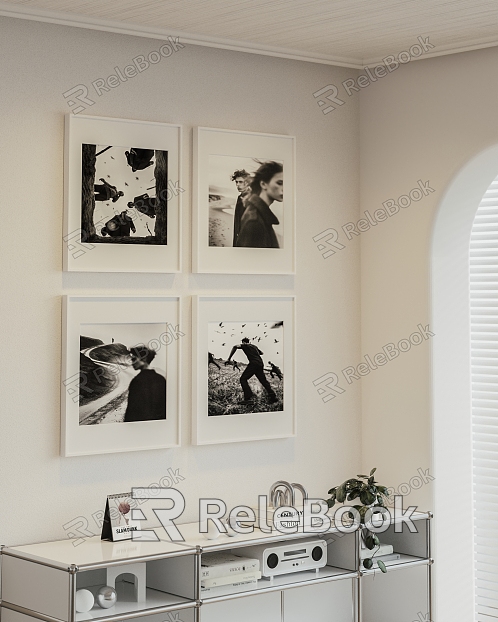 Modern Black and White Photo Hanging Painting model