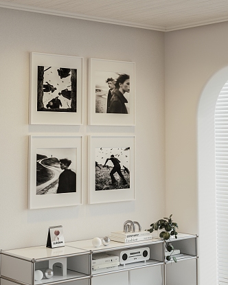 Modern Black and White Photo Hanging Painting 3d model