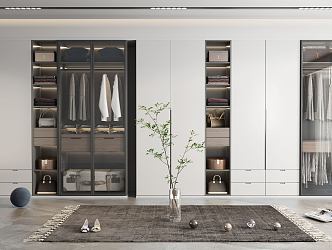 Modern wardrobe 3d model