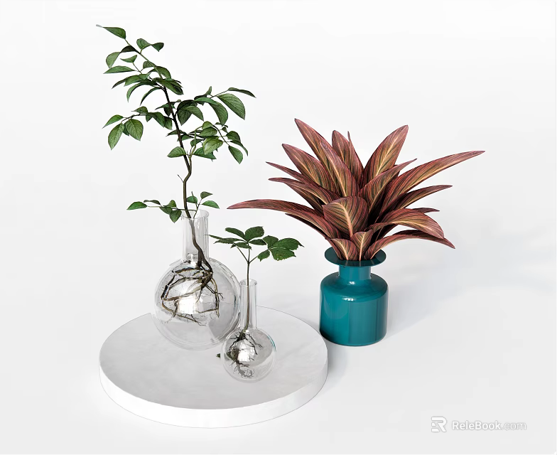 Silver And Teal Vases With Green Leaf And Red Foliage Plants On White Round Pedestal 3d model 
