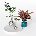 Silver And Teal Vases With Green Leaf And Red Foliage Plants On White Round Pedestal