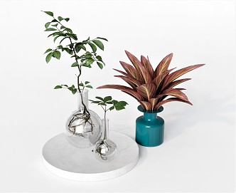 modern vase plant ornaments green plant 3d model