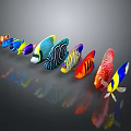 Colorful Tropical Fish With Various Colors Arranged In A Row Showing Different Shapes And Patterns