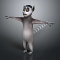 Cartoon Lemur Character Standing With Arms Outstretched Cheerful Expression And Black White Tail