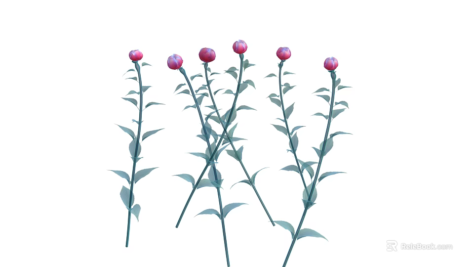 Beautiful Decorative Plants With Pink Buds Green Stems And Fresh Green Leaves 3d model 