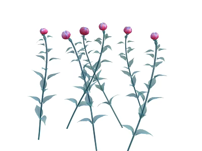 Beautiful Decorative Plants With Pink Buds Green Stems And Fresh Green Leaves 3d model