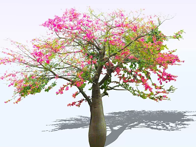 Beautiful Arbor With Pink Flowers Green Leaves Thick Trunk And Shadow 3d model